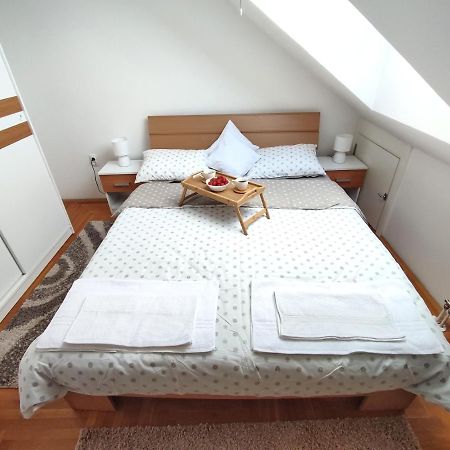 Apartman Ns Dan Private Parking Нови-Сад Экстерьер фото