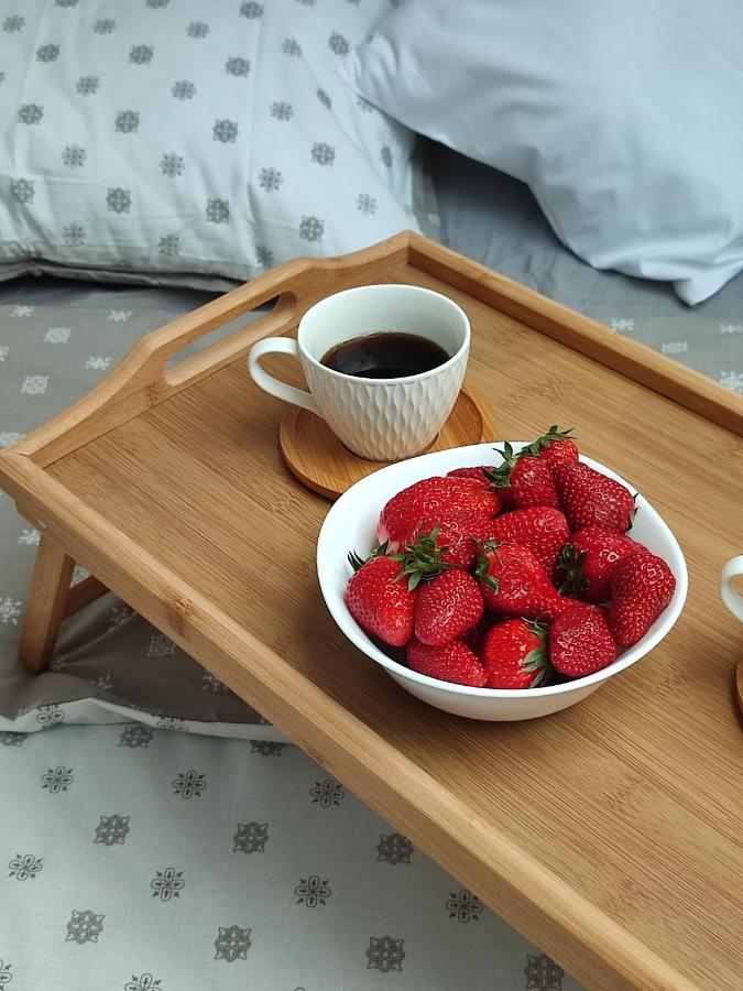 Apartman Ns Dan Private Parking Нови-Сад Экстерьер фото
