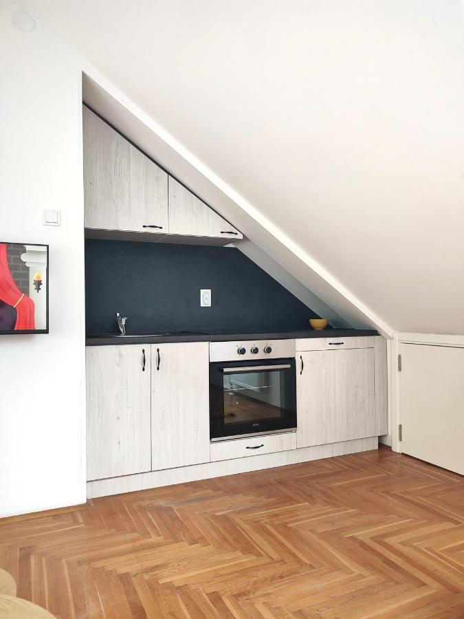 Apartman Ns Dan Private Parking Нови-Сад Экстерьер фото