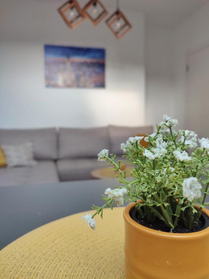 Apartman Ns Dan Private Parking Нови-Сад Экстерьер фото